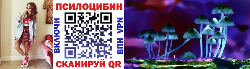Псилоцибиновые грибы MAGIC MUSHROOMS  продажа наркотиков  Плёс 
